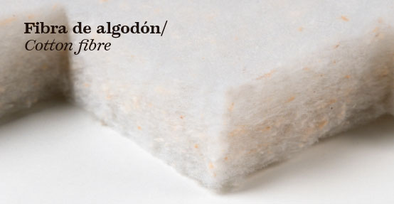 fibra-algodon